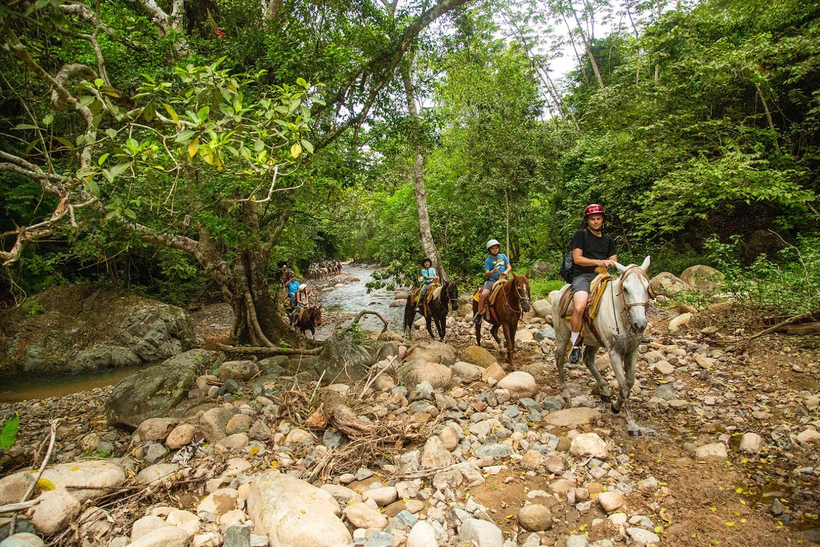 Horseback Riding Tour