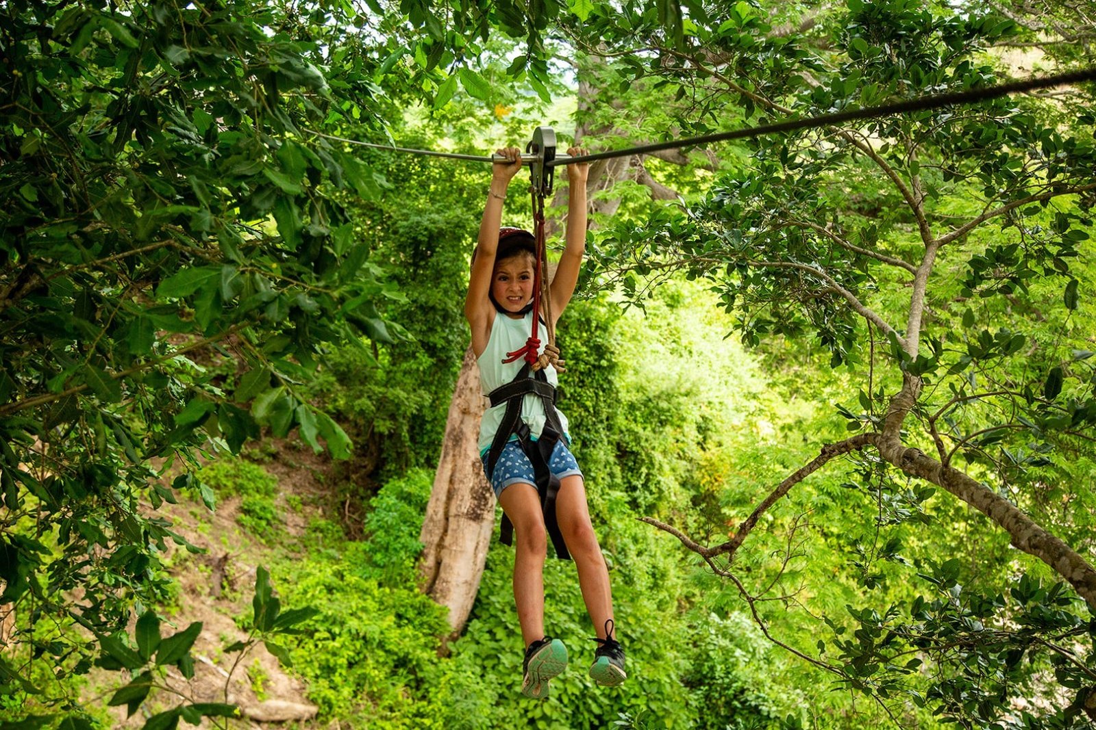 Zipline over the jungle canopy of the Sierra Madre, Puerto Vallarta